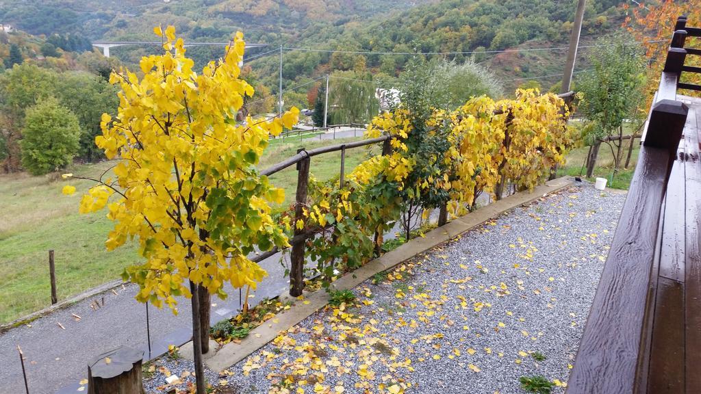 Agriturismo Pietro Falcone Konuk evi Celico Dış mekan fotoğraf